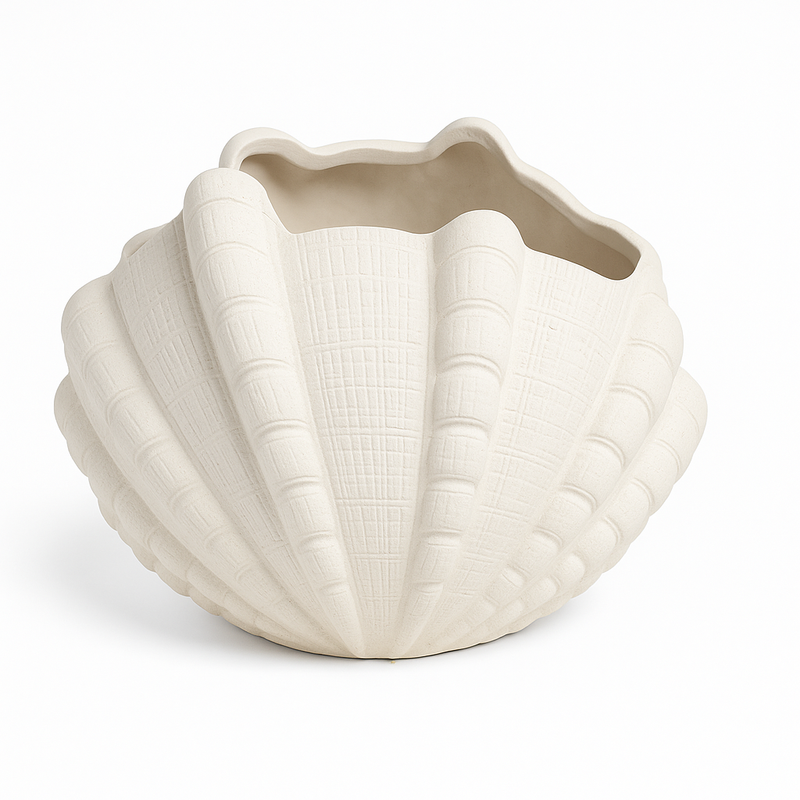 Ivory Tide Shell Ornament