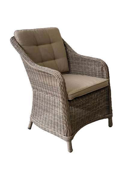 Corinella Dining Chair