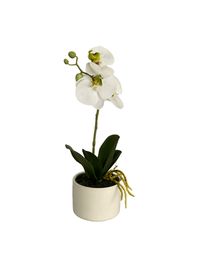 cozy-furniture-home-decor-artifical-plants-butterfly-small-orchid-plant