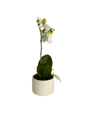 cozy-furniture-home-decor-artifical-plants-butterfly-small-orchid-plant