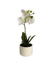 cozy-furniture-home-decor-artifical-plants-butterfly-small-orchid-plant