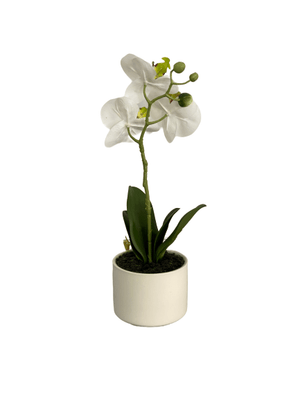 cozy-furniture-home-decor-artifical-plants-butterfly-small-orchid-plant