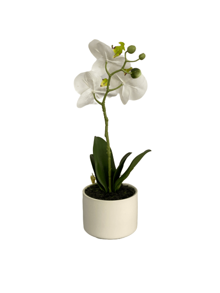 cozy-furniture-home-decor-artifical-plants-butterfly-small-orchid-plant