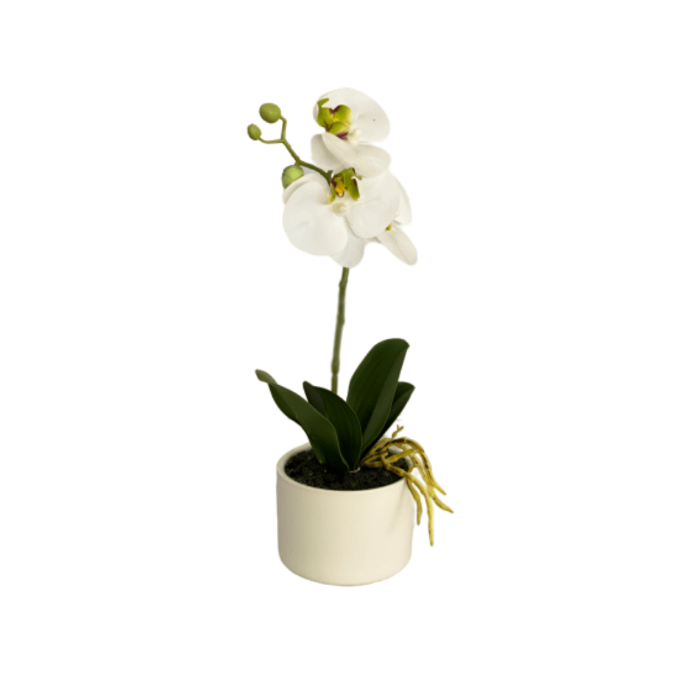 cozy-furniture-home-decor-artifical-plants-butterfly-small-orchid-plant