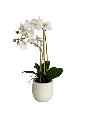cozy-furniture-home-decor-artificial-plant-orchid-large