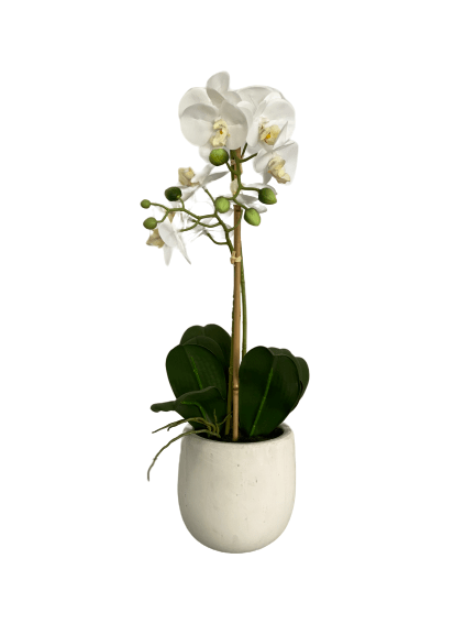 cozy-furniture-home-decor-artificial-plant-orchid-large