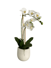 cozy-furniture-home-decor-artificial-plant-orchid-large