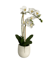 cozy-furniture-home-decor-artificial-plant-orchid-large