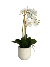 cozy-furniture-home-decor-artificial-plant-orchid-large