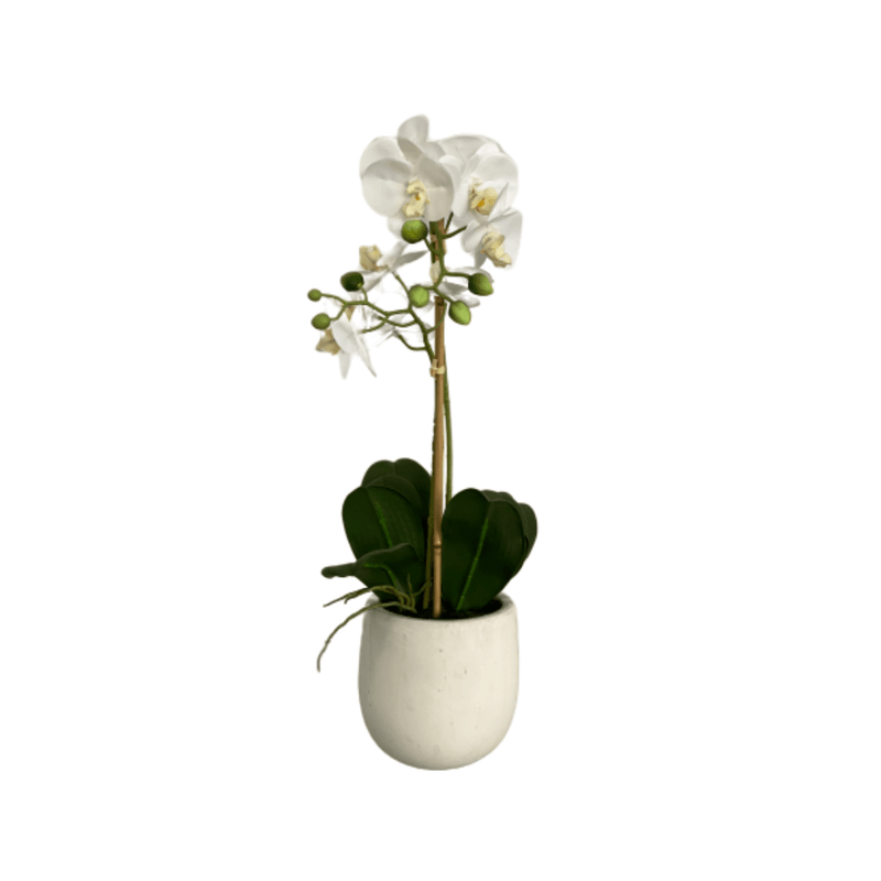 cozy-furniture-home-decor-artificial-plant-orchid-large