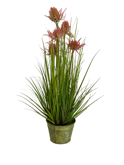 cozy-furniture-home-decor-giftware-artificial-plant-thistle-grass