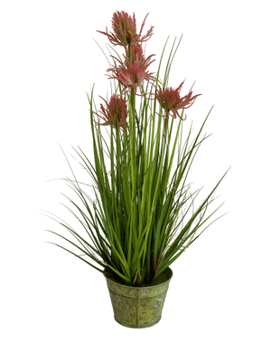 cozy-furniture-home-decor-giftware-artificial-plant-thistle-grass