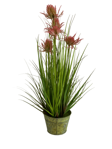 cozy-furniture-home-decor-giftware-artificial-plant-thistle-grass