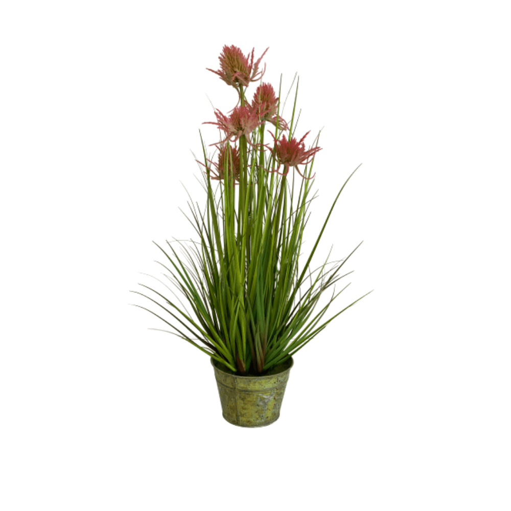 cozy-furniture-home-decor-giftware-artificial-plant-thistle-grass