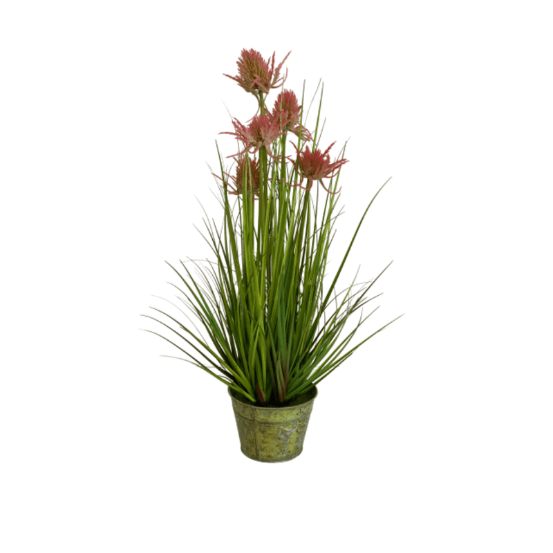 cozy-furniture-home-decor-giftware-artificial-plant-thistle-grass